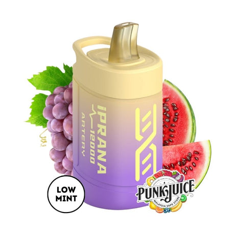 Artery iPRANA 12,000 5% Disposable Pod - Watermelon Grape Juice